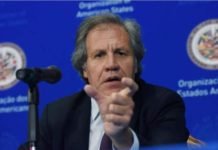 OEA trabajará con autoridades electas