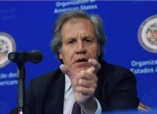 OEA trabajará con autoridades electas