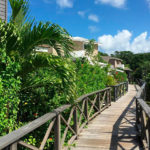 ROATAN-2