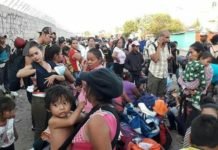 Periodista Bartolo Fuentes relata dramatica odisea de hondureños que huyen hacia EE. UU.