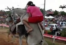 Movilizar en burro sugiere lider sindical ante escalada de precios con devaluacion del lempira