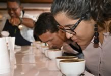 USDA apoyará a más de 32,000 productores de café y frijol con el proyecto Mejoramiento Agrícola Sostenible de TechnoServe