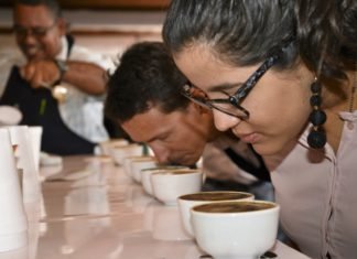 USDA apoyará a más de 32,000 productores de café y frijol con el proyecto Mejoramiento Agrícola Sostenible de TechnoServe