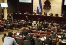 Diputados rectifican y aprueban derogar por completo artículo 335-B