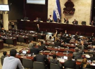 Diputados rectifican y aprueban derogar por completo artículo 335-B