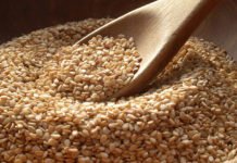 Más de 4,000 quintales de ajonjolí se exportarán a Taiwán