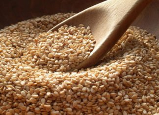Más de 4,000 quintales de ajonjolí se exportarán a Taiwán