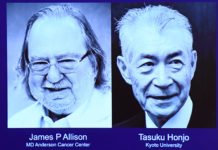 Estadounidense y japonés ganan Nobel de Medicina por descubrir proteina contra el cancer