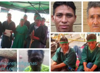 Defensores indígenas tolupanes son asesinados en Locomapa