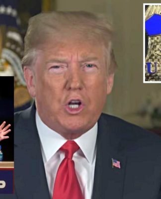 El cerebro detrás de la “mega operación” de Trump y ICE para deportar millones de indocumentados