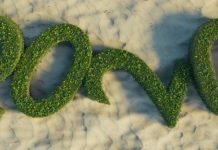 RAE aclara: Año 2020 «NO» es el inicio de la nueva década