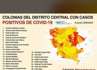COVID-19: A 66 aumenta los muertos y 738 los casos positivos en el país, según el gobierno