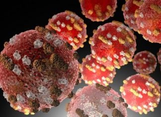 Coronavirus, dengue y sarampión: la peligrosa combinación en América Latina de 3 epidemias cuyos síntomas pueden confundirse