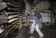 Gobierno busca salvar no menos de 450.000 empleos con Ley de Auxilio para Sectores Productivos y Trabajadores