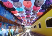 Significativos logros del Proyecto OVOP destacan ex becarios de JICA