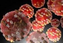 Más de 200 expertos contradicen a la OMS y afirman que el coronavirus se transmite por el aire