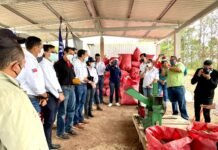 Taiwán e ICF clausuran proyecto de producción de residuos forestales